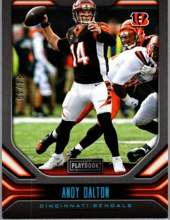 Andy Dalton
