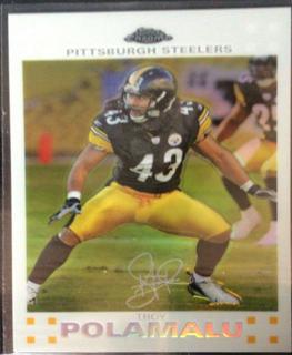 Troy Polamalu