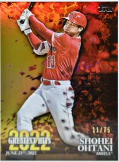 Shohei Ohtani