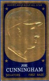 Joe Cunningham