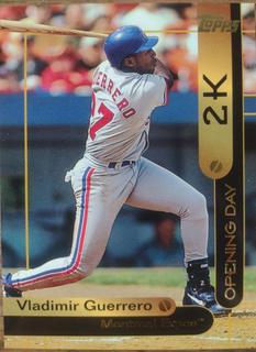 Vladimir Guerrero