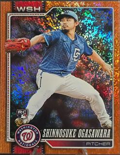 Shinnosuke Ogasawara