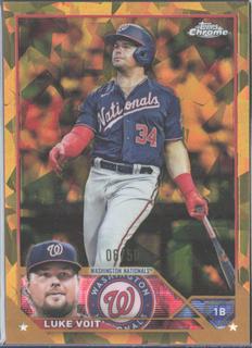 Luke Voit