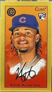 Kevin Alcantara