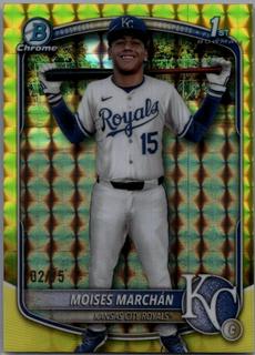 Moises Marchan