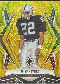 Mike Haynes