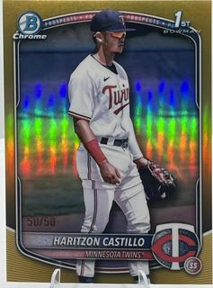 Haritzon Castillo