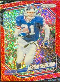 Jason Sehorn
