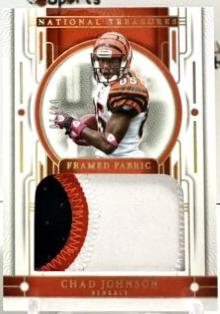 Chad Johnson