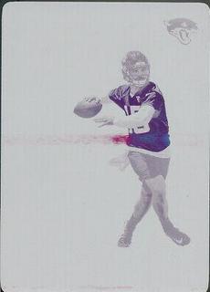 Gardner Minshew II
