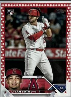 Livan Soto