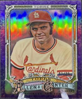 Joe Torre