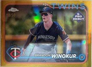 Brandon Winokur