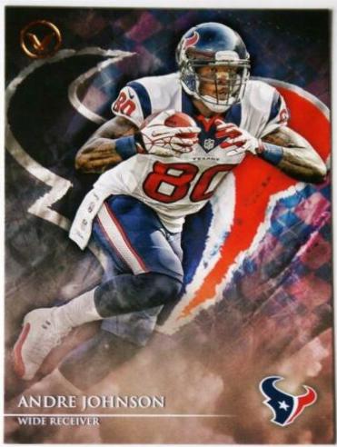 Andre Johnson #18