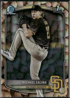 Michael Salina
