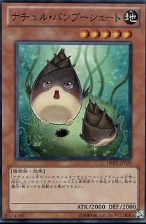 Naturia Bamboo Shoot DREV-JP029