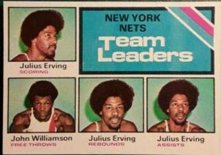 New York Nets Team Leaders