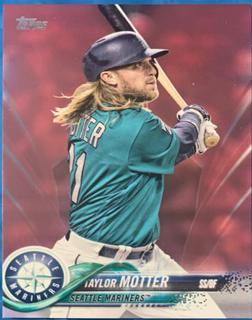 Taylor Motter