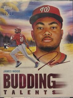 James Wood