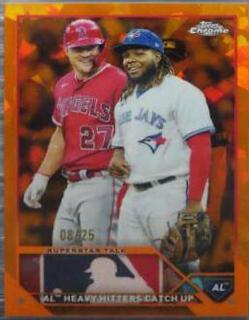 Vladimir Guerrero Jr.