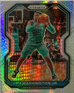 PJ Washington Jr.
