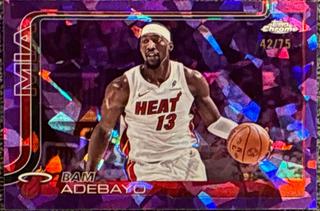 Bam Adebayo