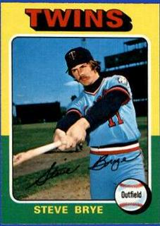 Steve Brye