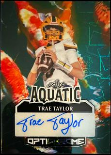 Trae Taylor