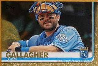 Cam Gallagher