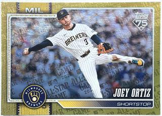 Joey Ortiz
