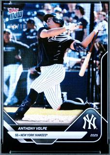 Anthony Volpe