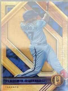 Vladimir Guerrero Jr.