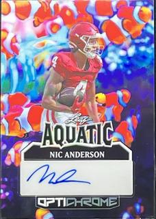 Nic Anderson