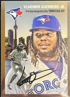 Vladimir Guerrero Jr.