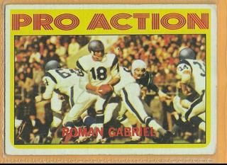 Roman Gabriel