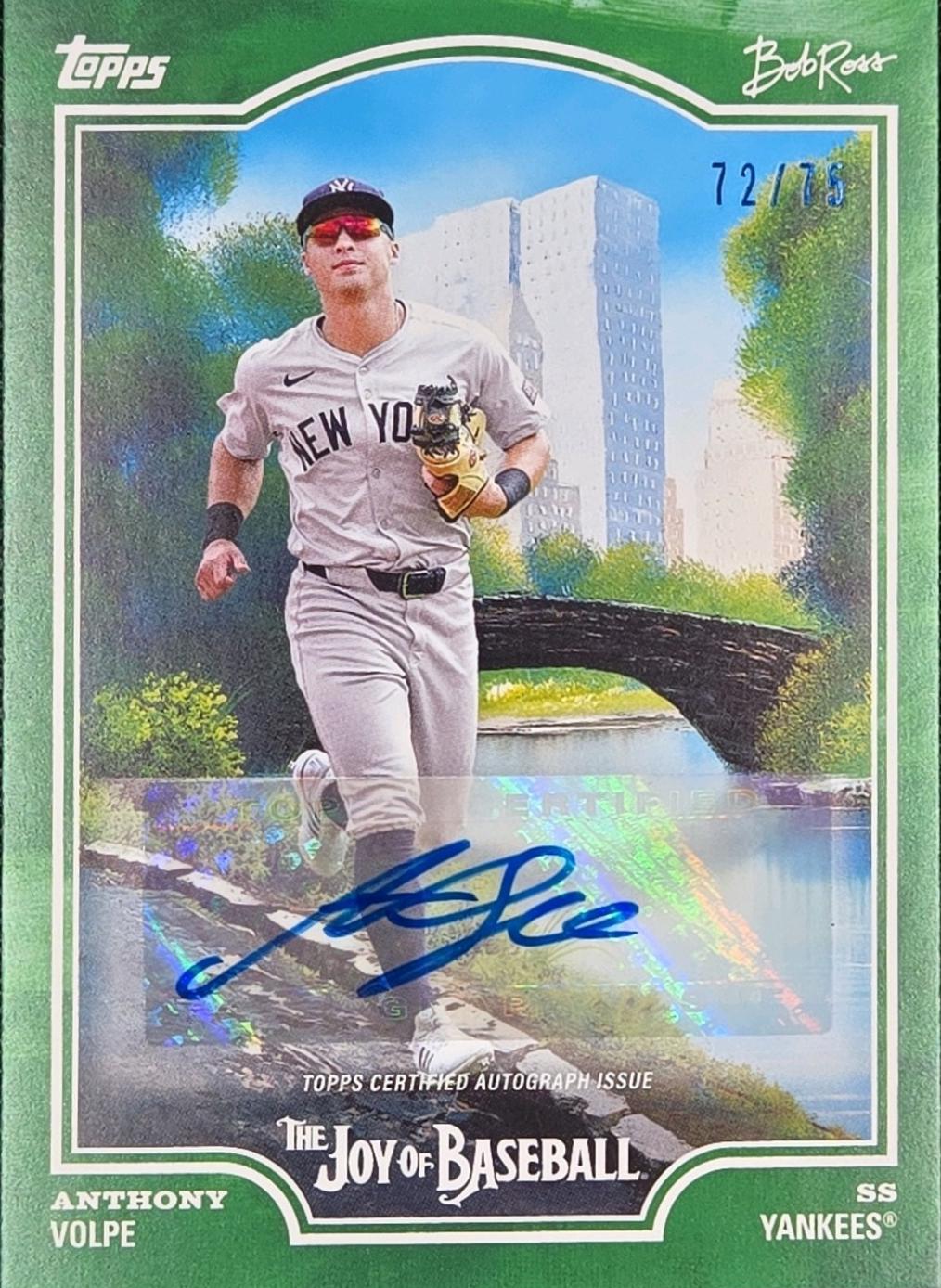 Anthony Volpe [Sap Green] #8
