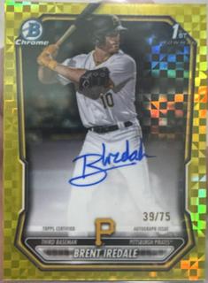 Brent Iredale