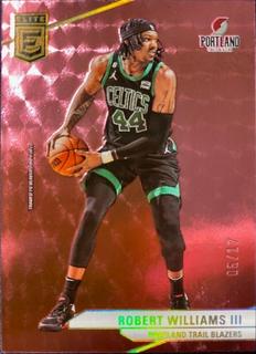 Robert Williams III