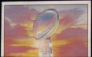 Super Bowl XXIII Program