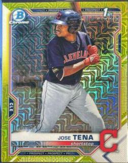 Jose Tena