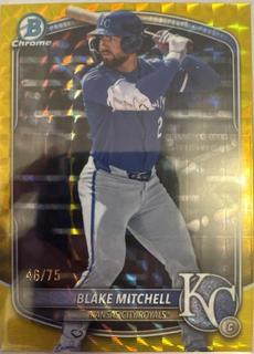 Blake Mitchell