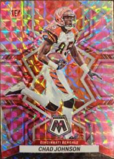 Chad Johnson