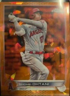 Shohei Ohtani