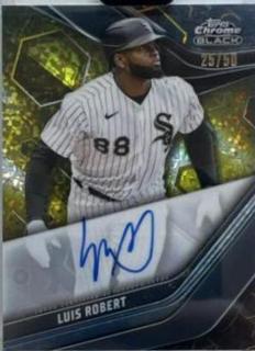 Luis Robert