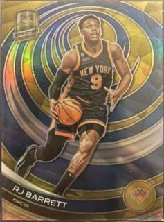 RJ Barrett