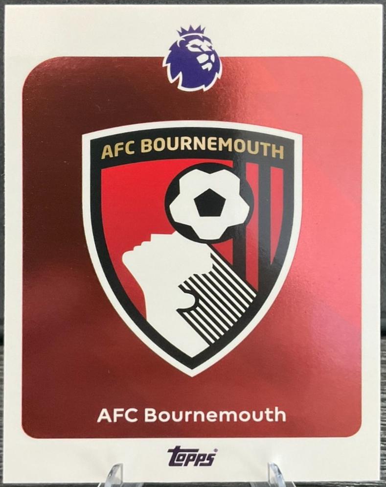 2025 Team Badge #37