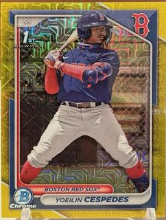Yoeilin Cespedes