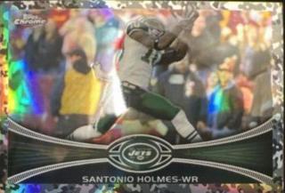 Santonio Holmes