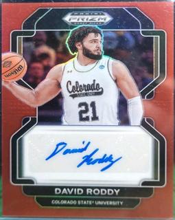 David Roddy