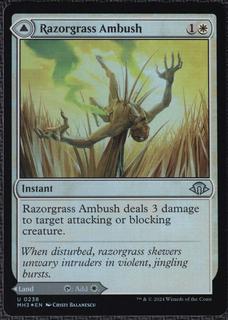 Razorgrass Ambush // Razorgrass Field